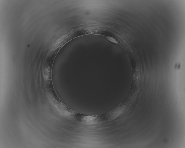 X0000111050139200906251442