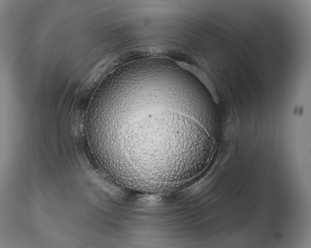 X0000111050140200906251442