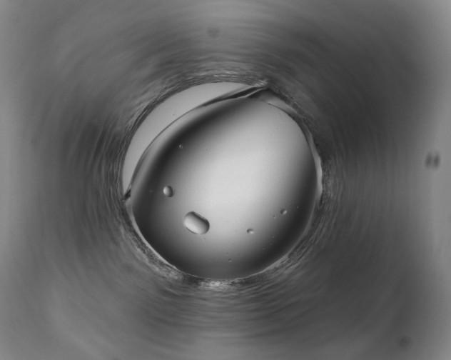 X0000111050141200906251442