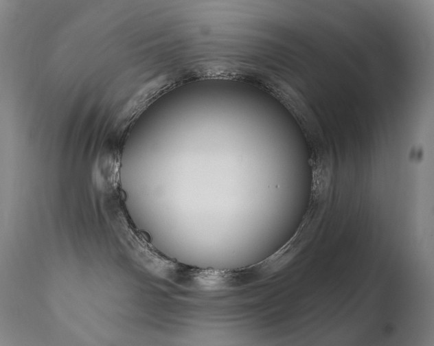 X0000111050142200906251442