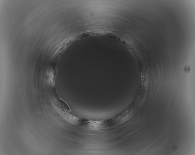 X0000111050143200906251442