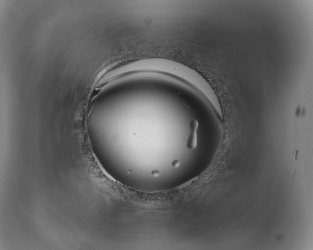 X0000111050144200906251442