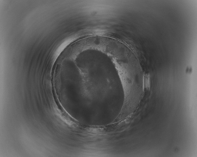 X0000111050147200906251441