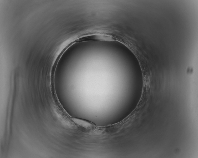 X0000111050148200906251441