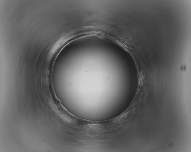 X0000111050150200906251441