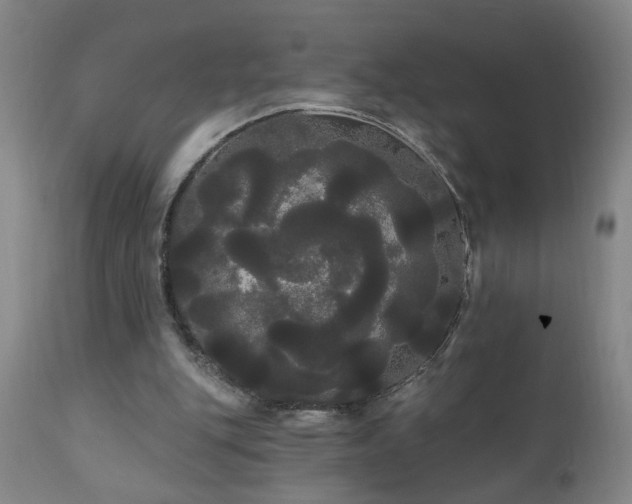 X0000111050151200906251441