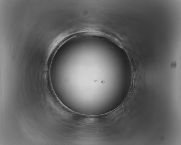 X0000111050152200906251441