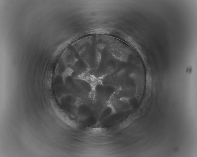 X0000111050153200906251441