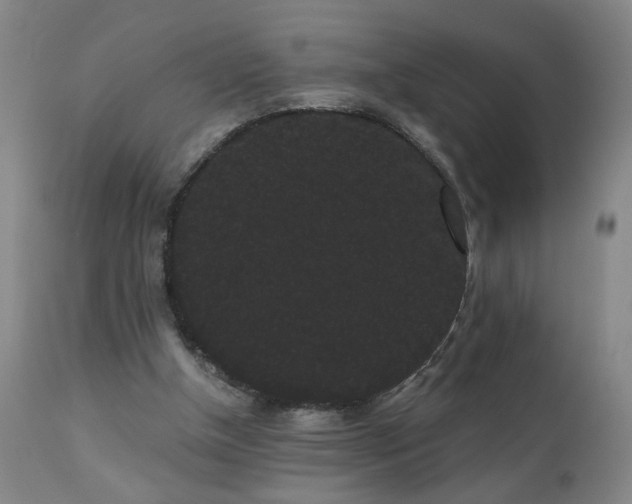 X0000111050154200906251441