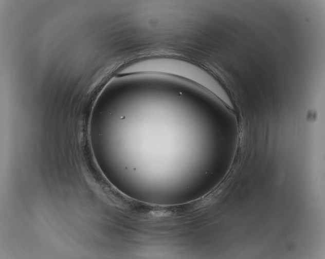 X0000111050158200906251441