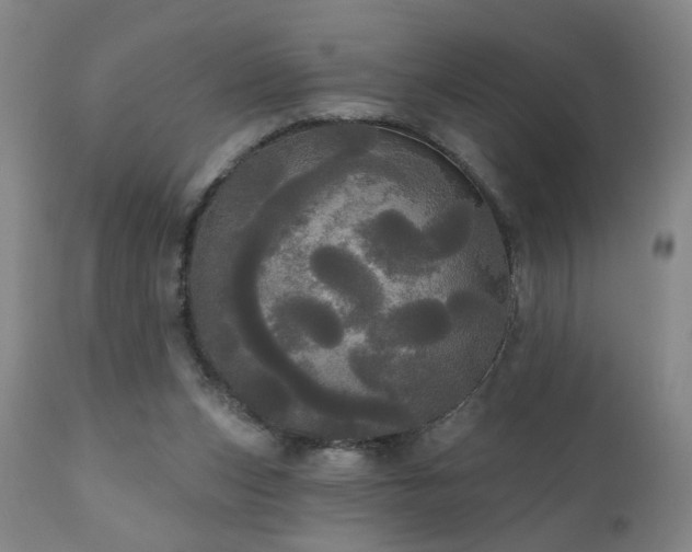 X0000111050159200906251441