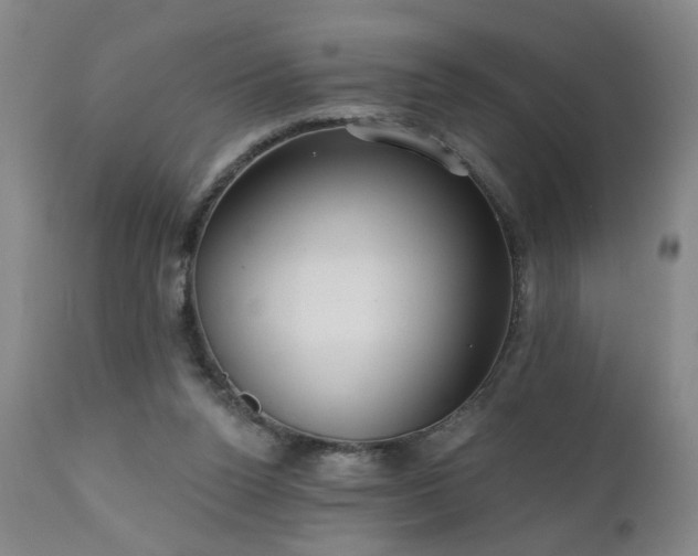 X0000111050160200906251441