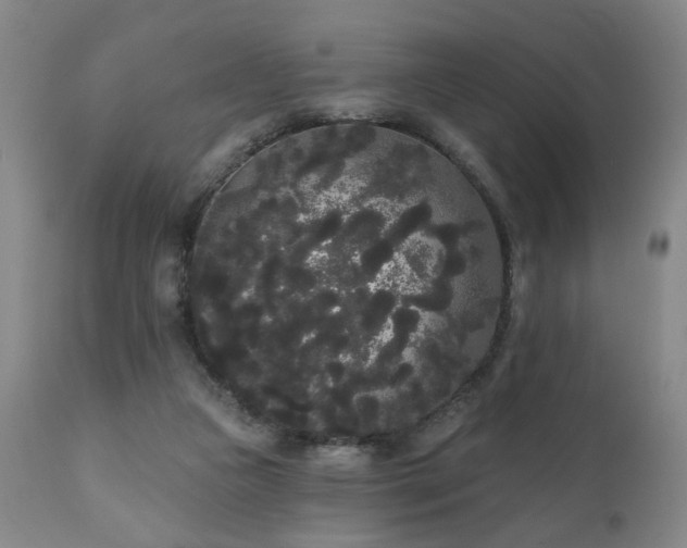 X0000111050161200906251441