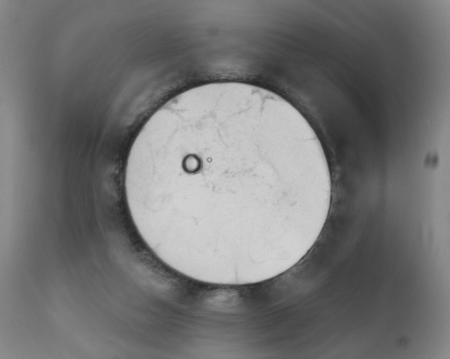 X0000111050162200906251441