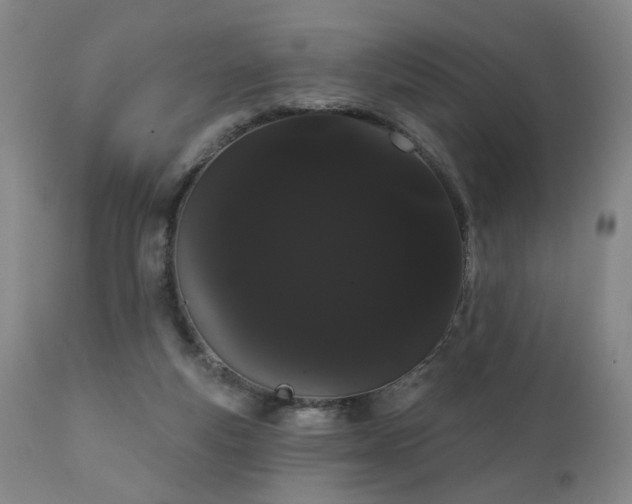 X0000111050163200906251441