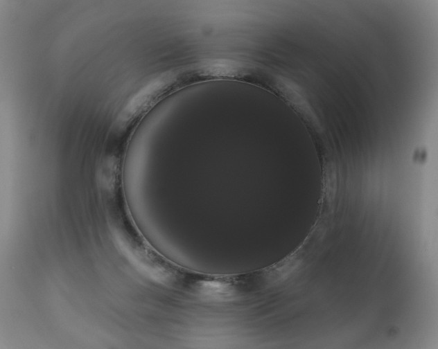 X0000111050167200906251441