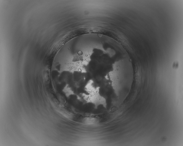 X0000111050169200906251442