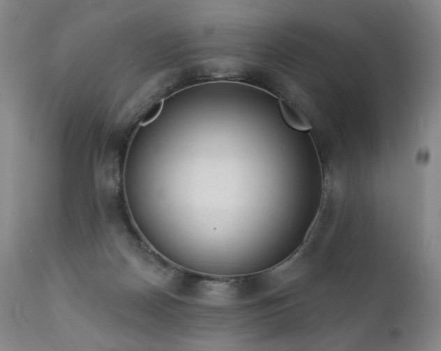 X0000111050170200906251442