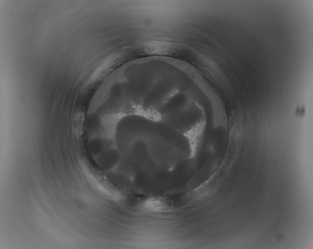 X0000111050171200906251442