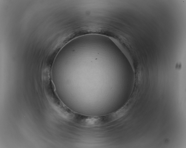 X0000111050172200906251442