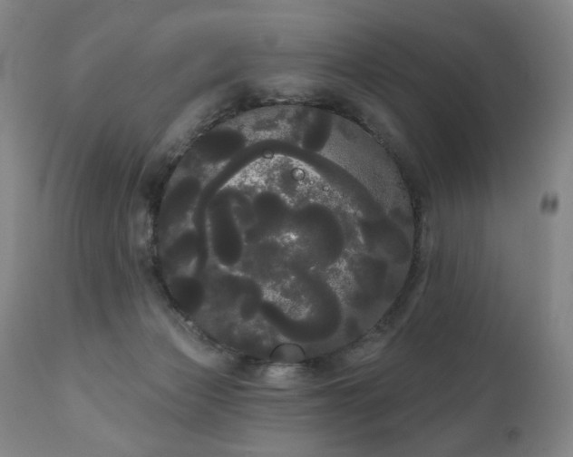 X0000111050173200906251442