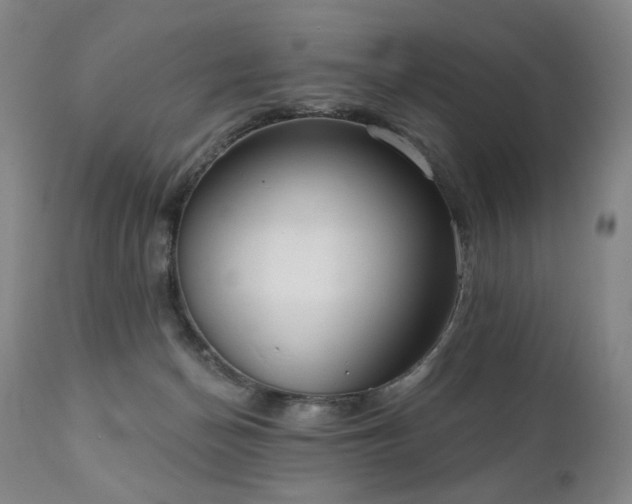 X0000111050174200906251442