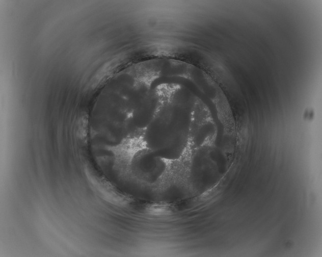 X0000111050175200906251442