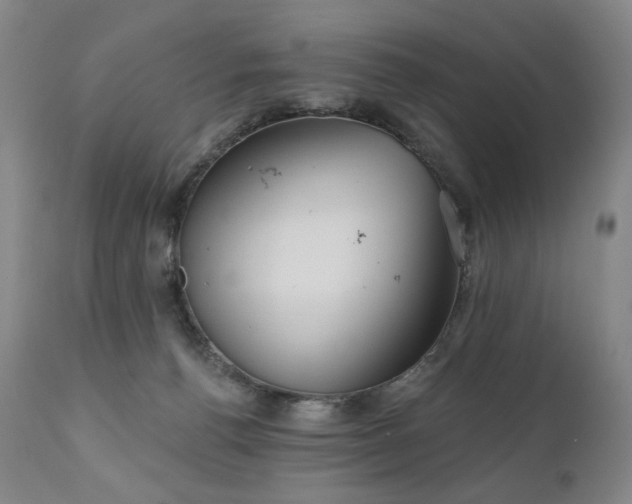 X0000111050176200906251442