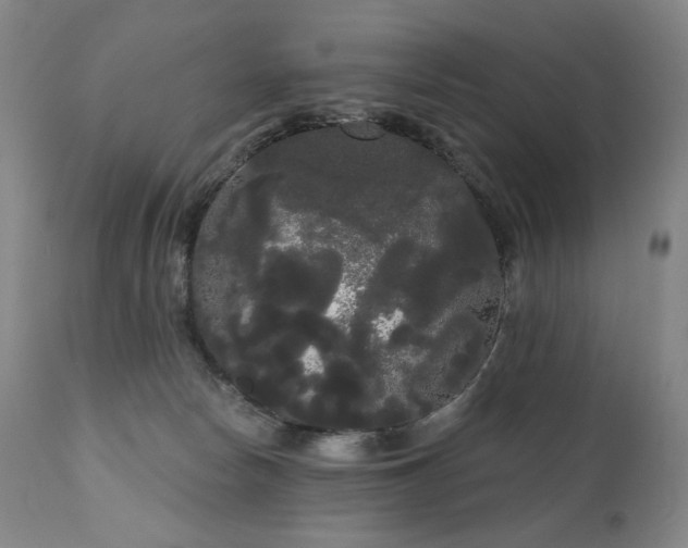 X0000111050178200906251442