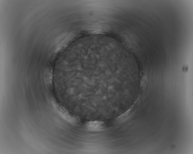 X0000111050179200906251442