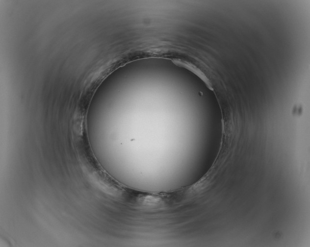 X0000111050180200906251442