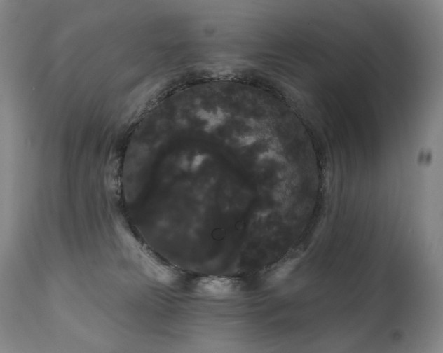 X0000111050181200906251442