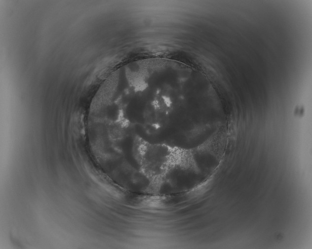 X0000111050182200906251442