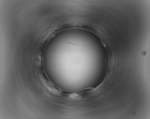 X0000111050183200906251442