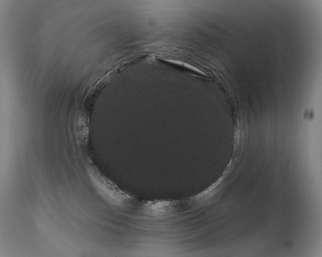 X0000111050186200906251442