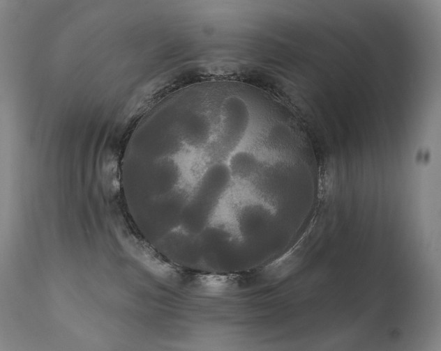 X0000111050187200906251442