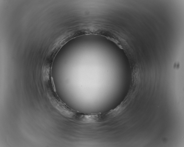 X0000111050188200906251442