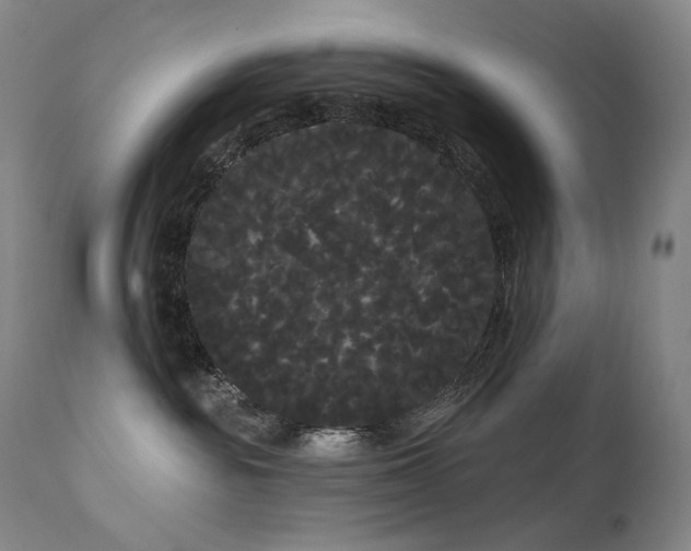 X0000111050189200906251442