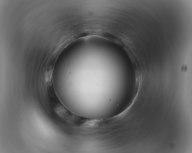 X0000111050190200906251442