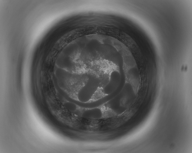 X0000111050191200906251442