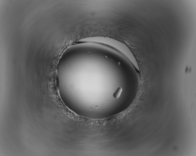 X0000111050192200906251442