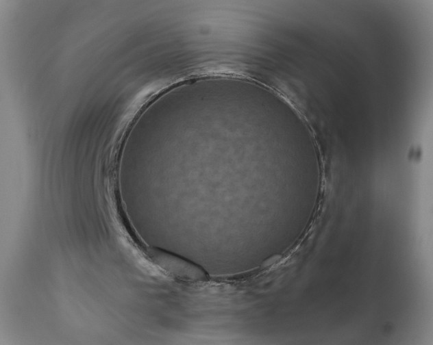 X0000111050193200906251441