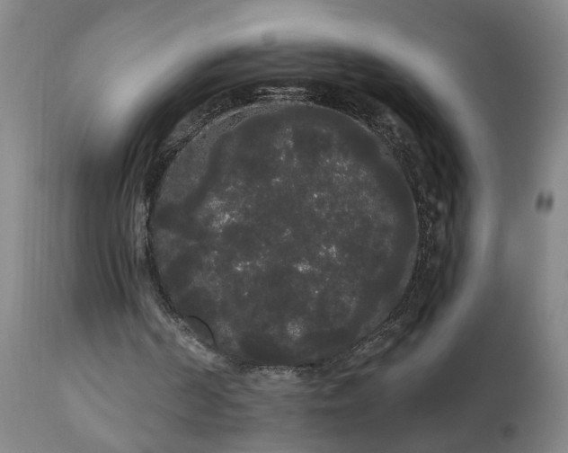 X0000111050194200906251441