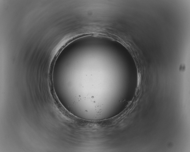 X0000111050195200906251441