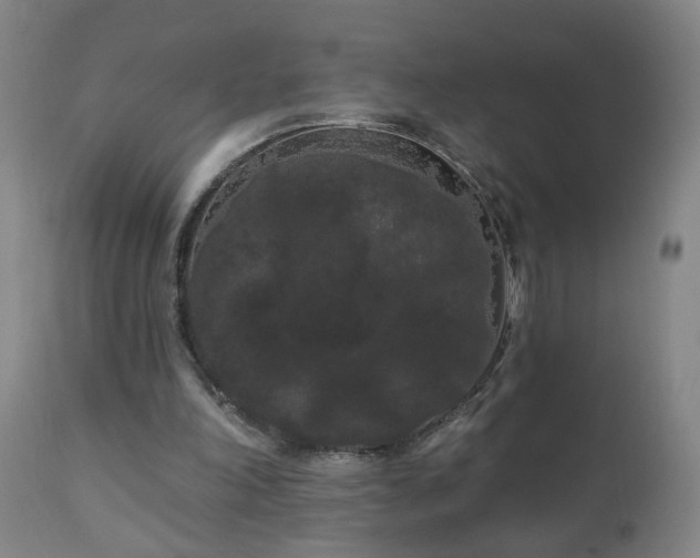 X0000111050198200906251441