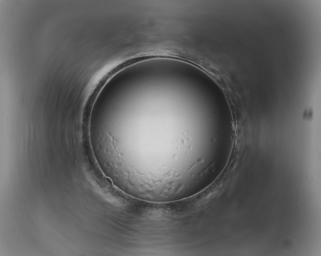 X0000111050200200906251441