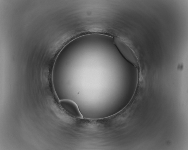 X0000111050201200906251441