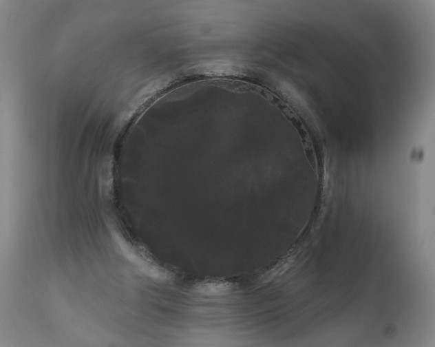 X0000111050202200906251441