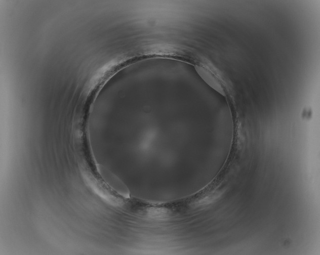 X0000111050203200906251441