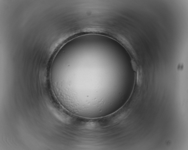 X0000111050204200906251441